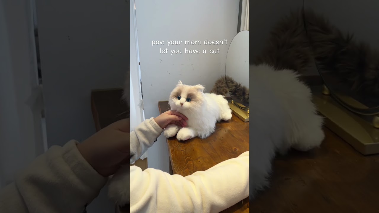 Если нельзя взять с собой кошку, возьмите вот этого 🐱 #chongker #robotanimal #robotcat #cute