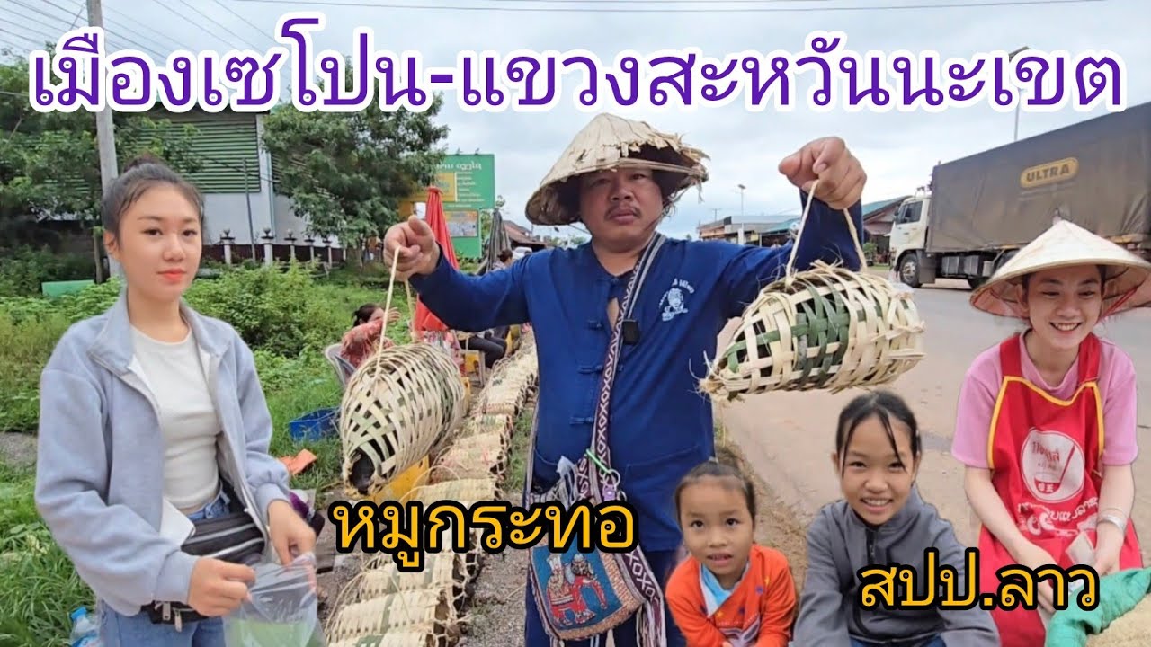 #เที่ยวลาว ขายหมูตัวเป็นๆ ใส่กระทอ!! มีที่เดียวในลาว!!ตลาดเช้ามืองเซโปน #สะหวันนะเขต #สปปลาว