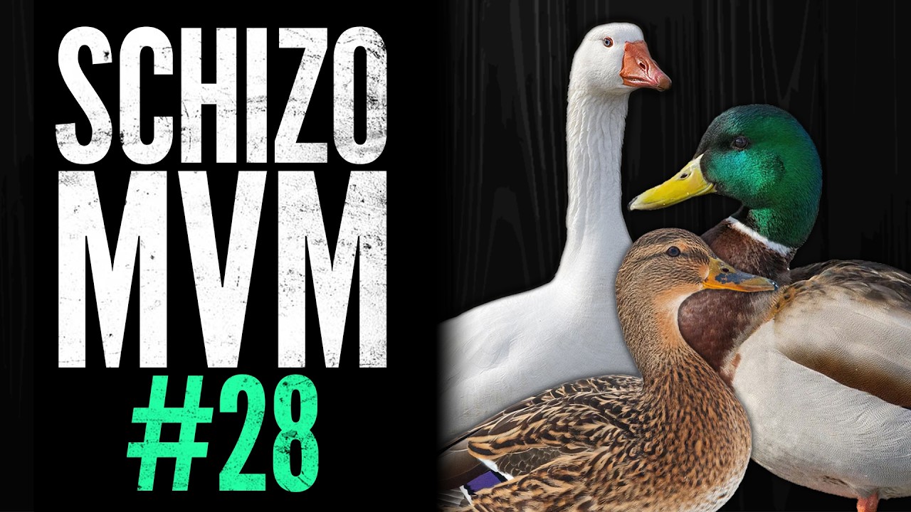 SCHIZO MVM WITH THE BOYS