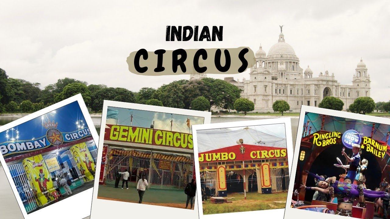 The Magic of Indian Circus: A Journey Through Tradition and Talent (Nitin Singhania )-Dr Veenus Jain