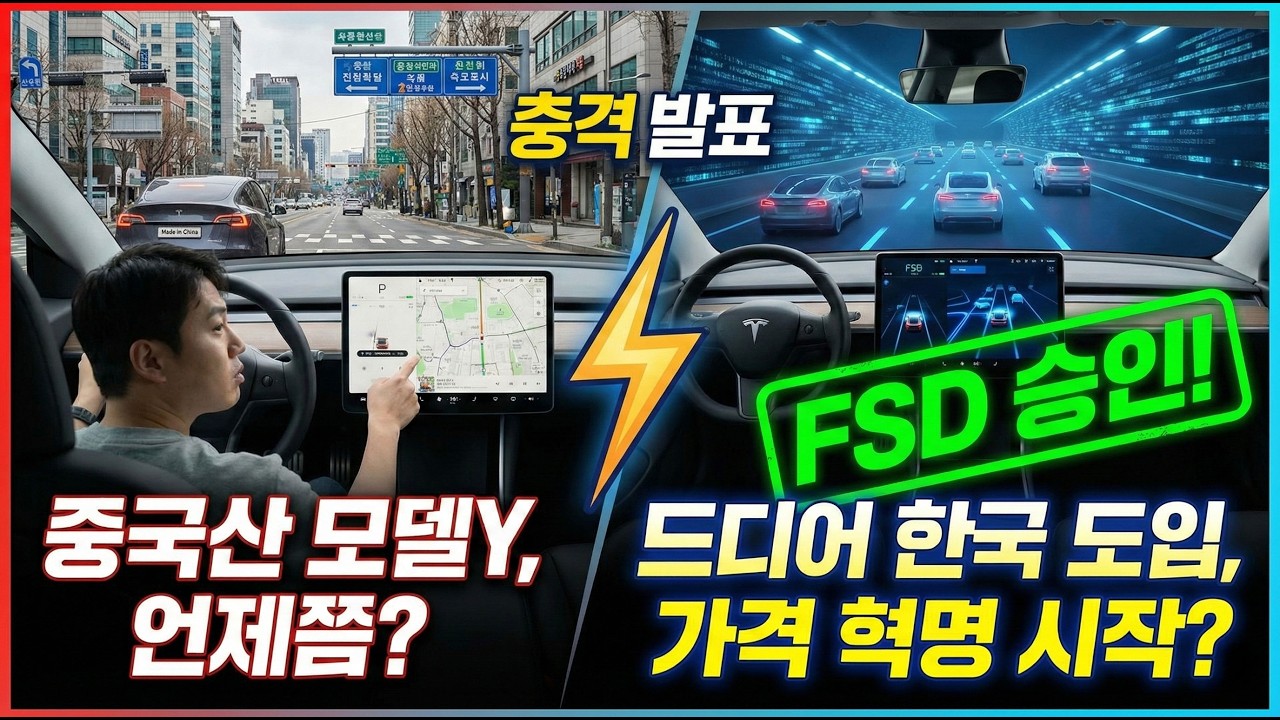 모델Y FSD 승인 테슬라 중국산 모델Y 자율주행 한국 도입 - FoxCG
