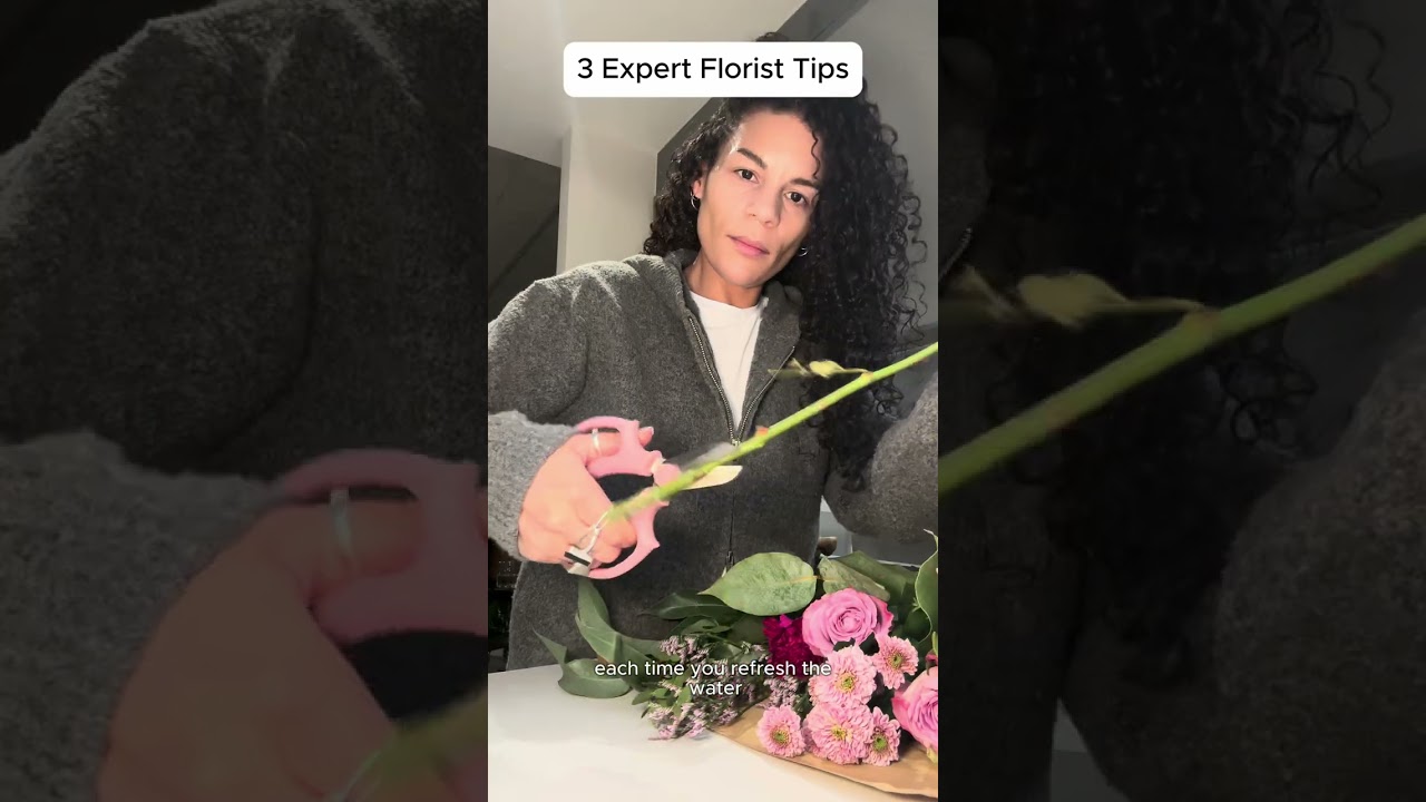Valentine’s Day Flowers - 3 Expert florist tips to keep them looking fresh✨ Bloom & Wild