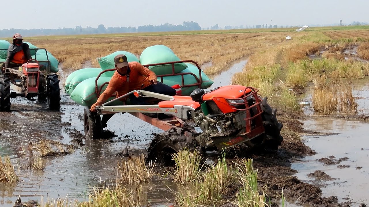 Mini Tractor Kubota Trachang Working Stuck In Mud Videos Compilation | Amazing Stuck At Work