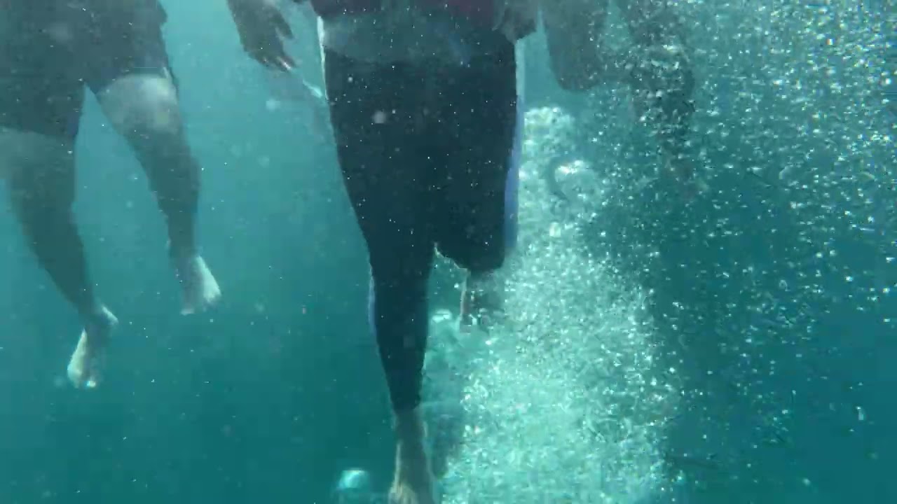 Netrani Adventures Suba Diving!! Murudeshwar ..