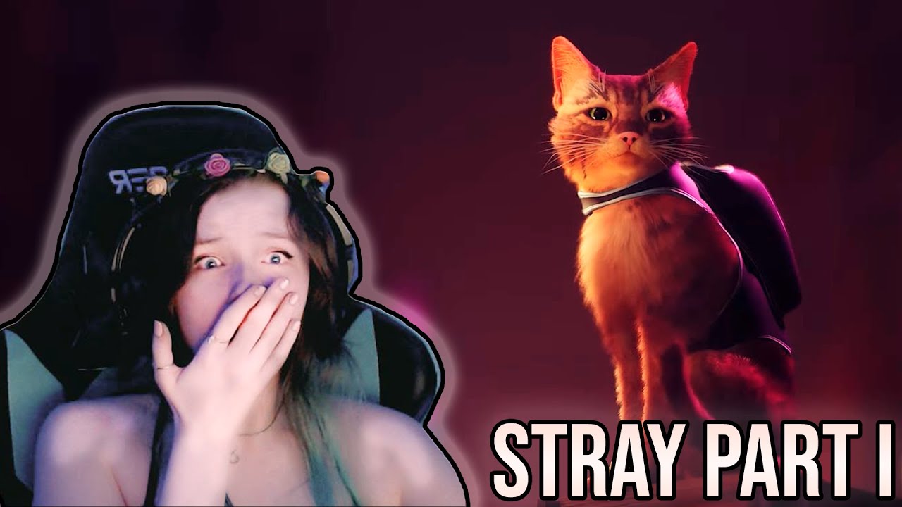 A Cat Lover's Dream Game - Stray - Part 1