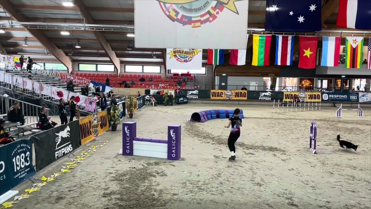 World Agility Open w025🇳🇱 Dobby & Veronika