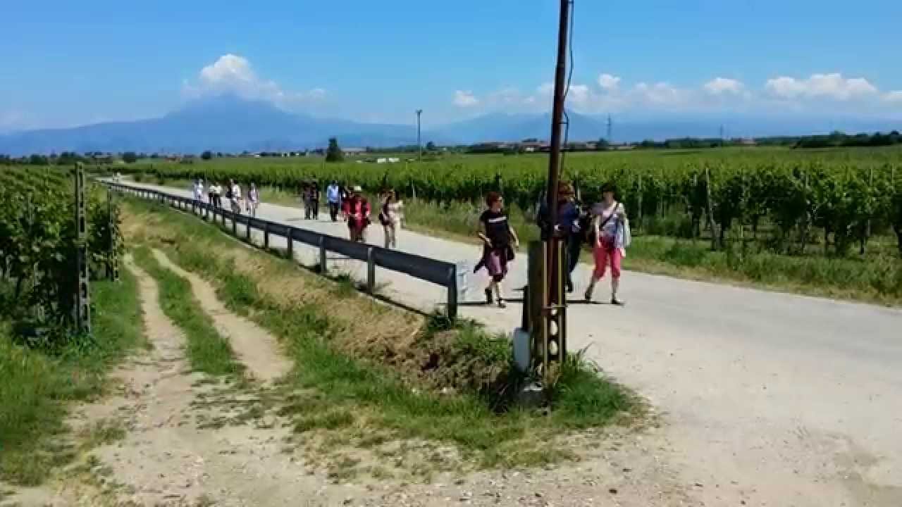 Wine Tour Italy: Lugana on the Garda Lake