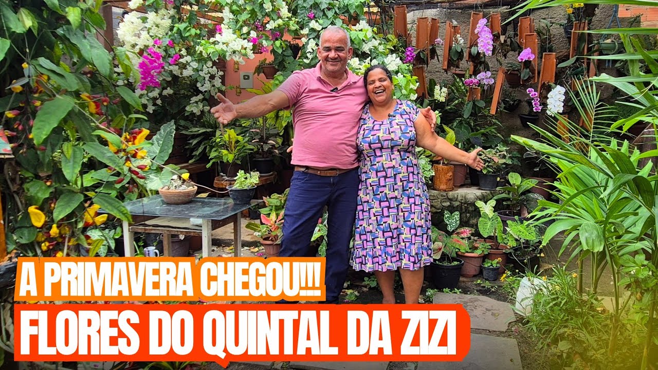 FLORES DO QUINTAL DA ZIZI: ORQU&Iacute;DEAS, SAPATINHO-DE-JUDIA, PRIMAVERA, ROSA DO DESERTO, ONZE-HORAS E +