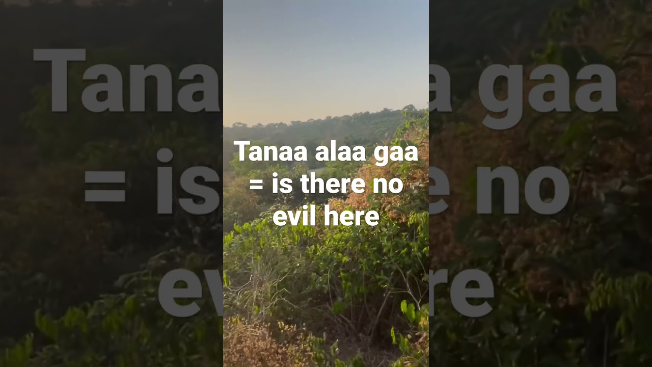 Pulaar lesson #5 | Tanaa alaa gaa = is there no evil here | #shots #pulaar #pulaar_fulbe #fulani