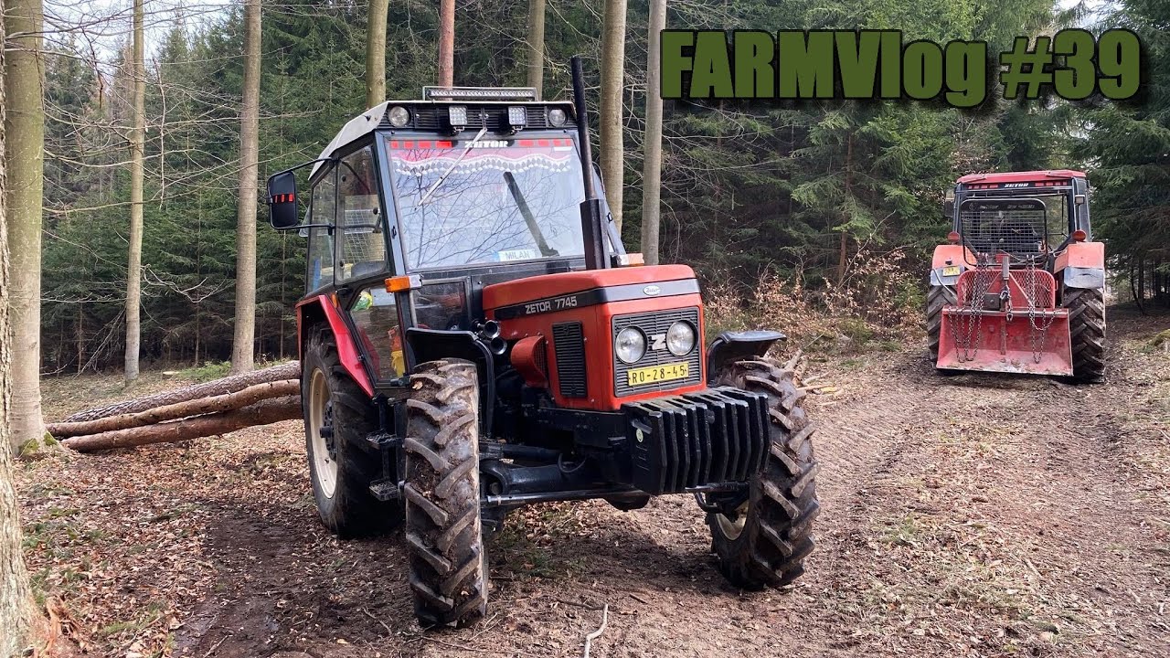 FARMVlog #39  - Taháme borovice z lesa s naší 7745 🚜🌲🌳🌳