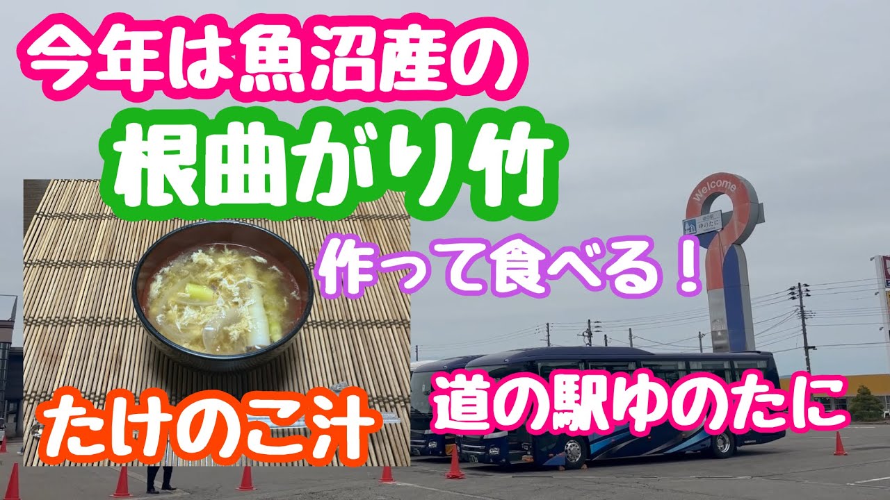 2024年5月15日 根曲がり竹のたけのこ汁を作って食べます 今年は魚沼産！道の駅ゆのたに 新潟県魚沼市