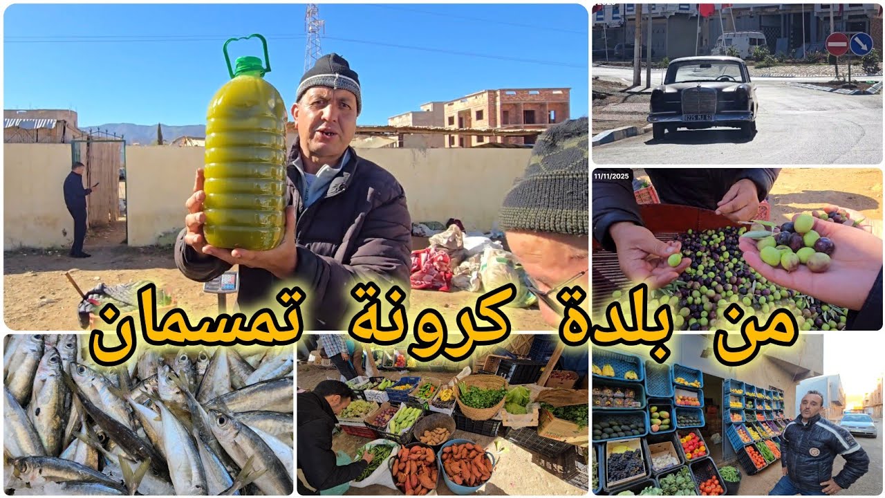 🚨من بلدة كرونة تمسمان الدريوش واقبال على الزيتون زيت الزيتون والرواج كالعادة🔥