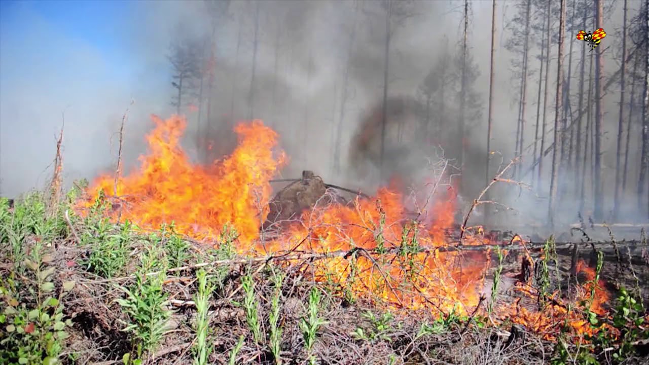 Brandmannen Andreas dog under insats i anlagd brand
