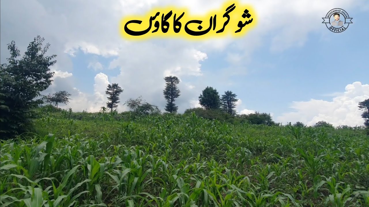 Shogran village | beautiful village in Pakistan | village life in pakistan