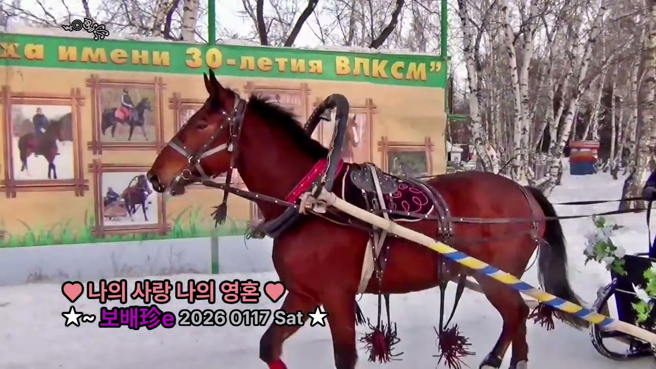 ★~ 보배珍e 2026 0117 Sat ♥ 나의 사랑 나의 영혼 여 Mi alma gemela  & 깊은 그리움