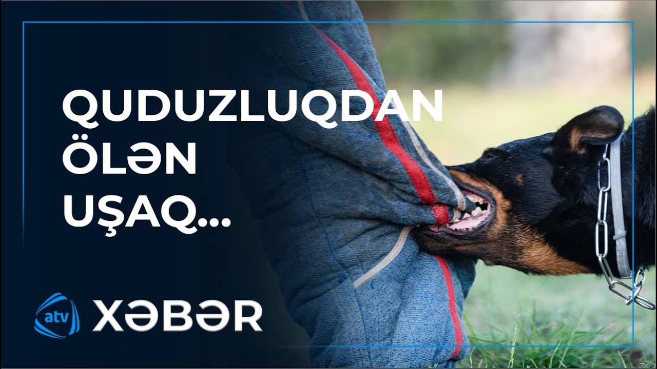 Tovuzda bir ay əvvəl itin dişlədiyi məktəbli Bakıda xəstəxanada ÖLDÜ
