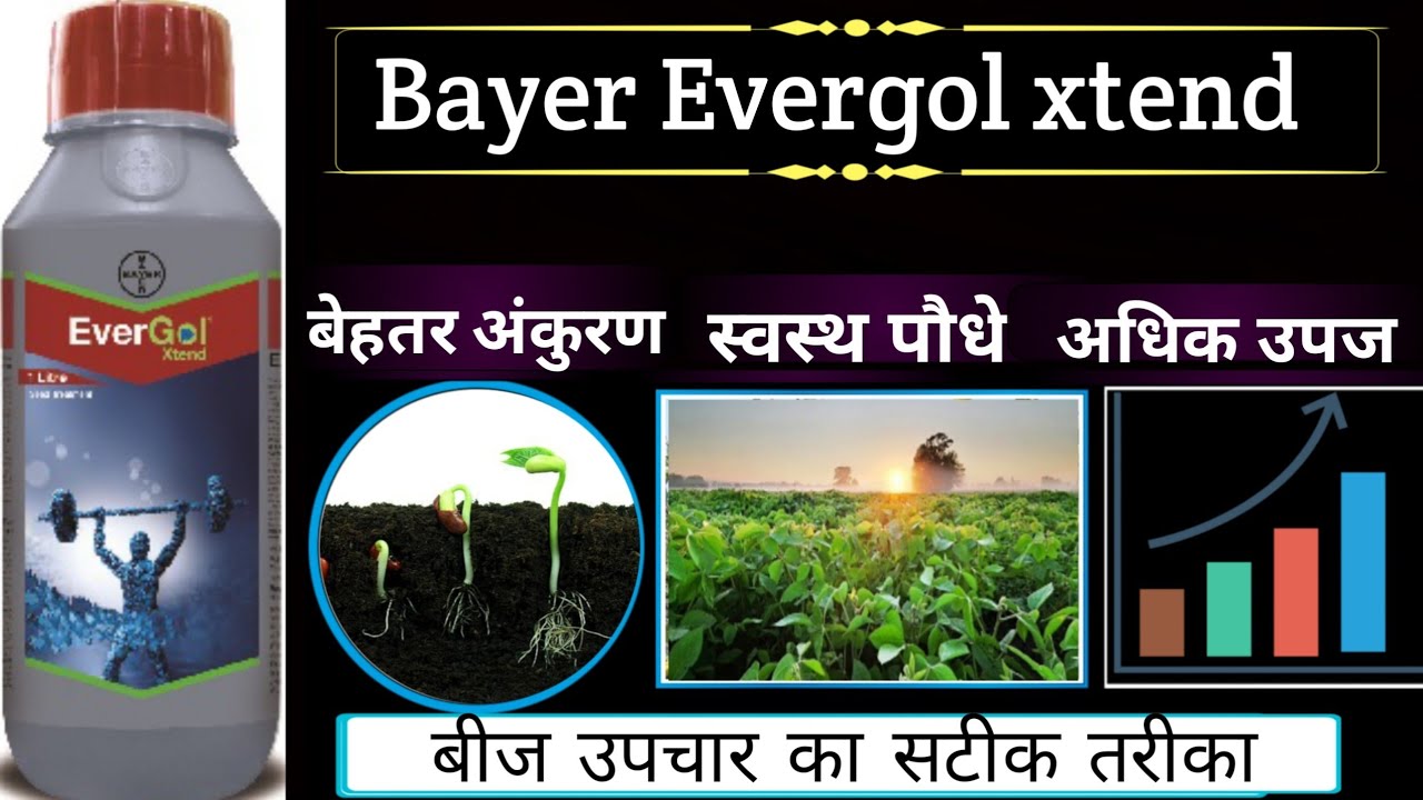 evergol xtend /bayer evergol fungicide / Penflufen 13.28% + Trifloxystrobin 13.28