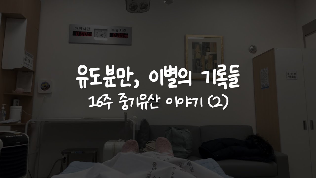16주 중기유산(2) 포포와의 이별, 유도분만 그리고 태아장례 기록들