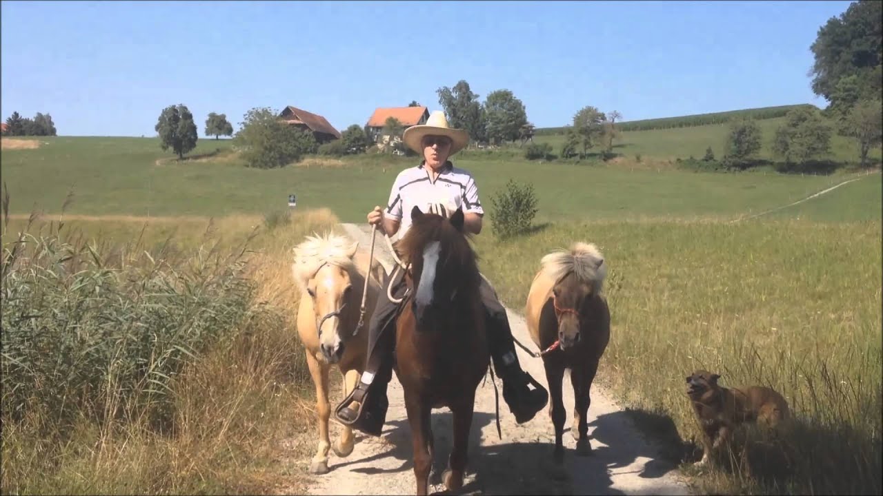 Handpferdereiten II