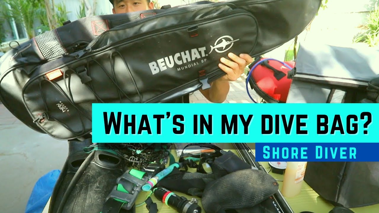 What's in my dive bag for spearfishing? (Mainly for shore divers)