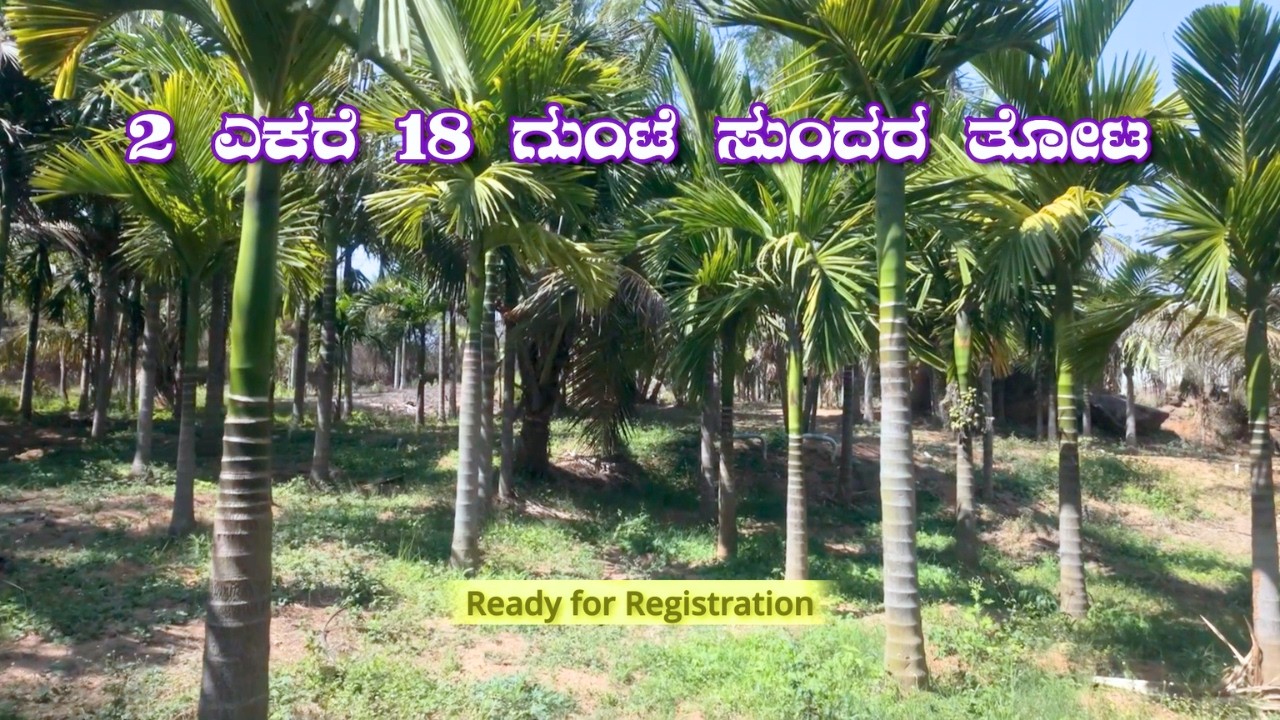 800 ಅಡಿಕೆ ಸಸಿ + 80 ತೆಂಗಿನ ಮರಗಳು 🌴 | ತುಮಕೂರಿನ ಹತ್ತಿರ ಸುಂದರ ತೋಟ |  #tumkurrealtors