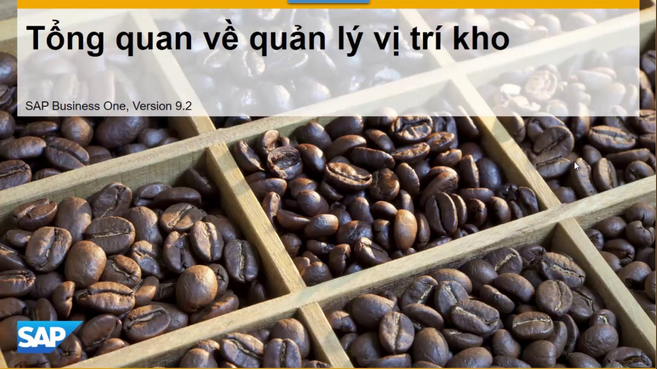 Sap Business One Quản lý vị trí kho - Bin Locations - TB1000 - Unit 6.