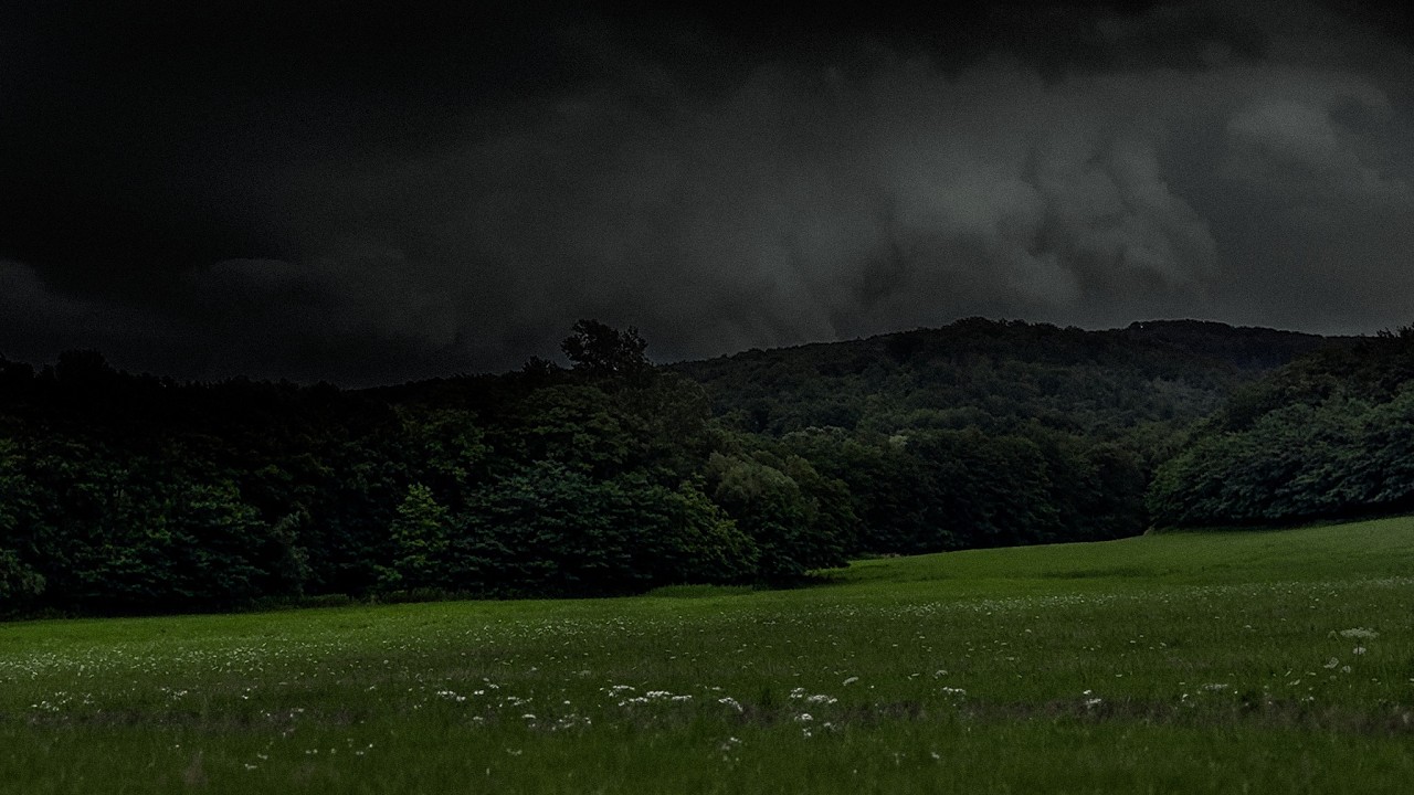 Thunderstorm Rolling Over the Mountains | Forest Meadow | Calm Before the Storm | 3 Hours