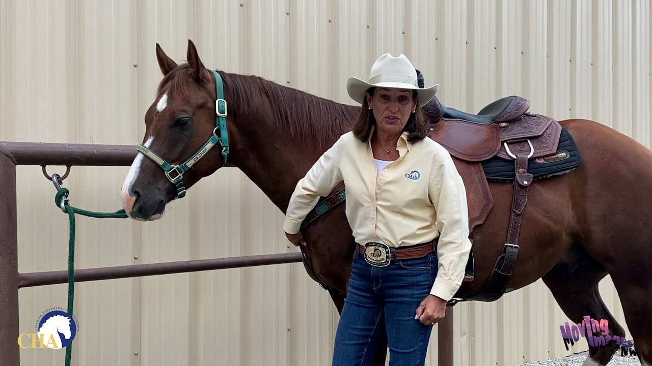 Breast Collar and Back Cinch Adjustment with Julie Goodnight