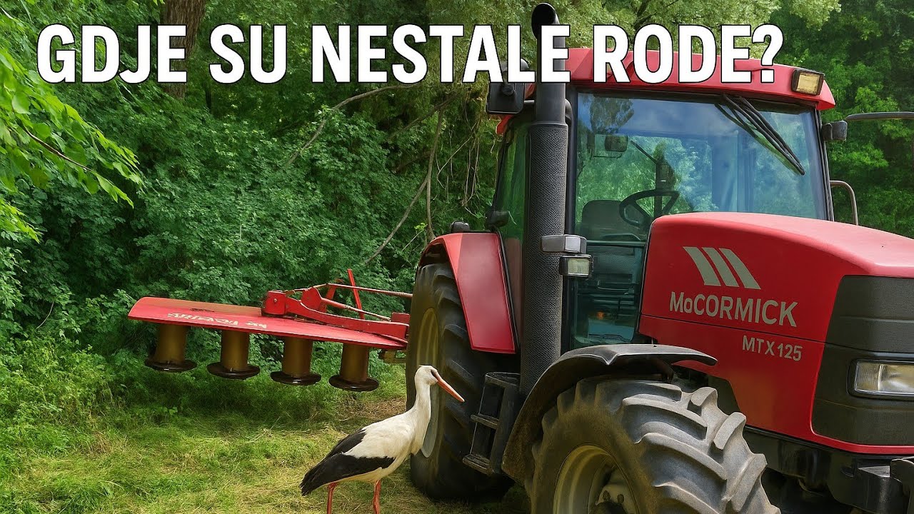 KOŠNJA LIVADA 2025