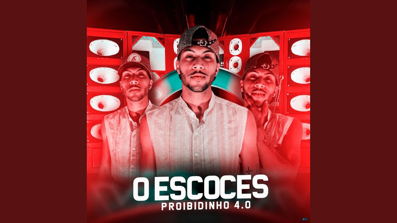 Me Apaixonei (feat. Mc Magrela)