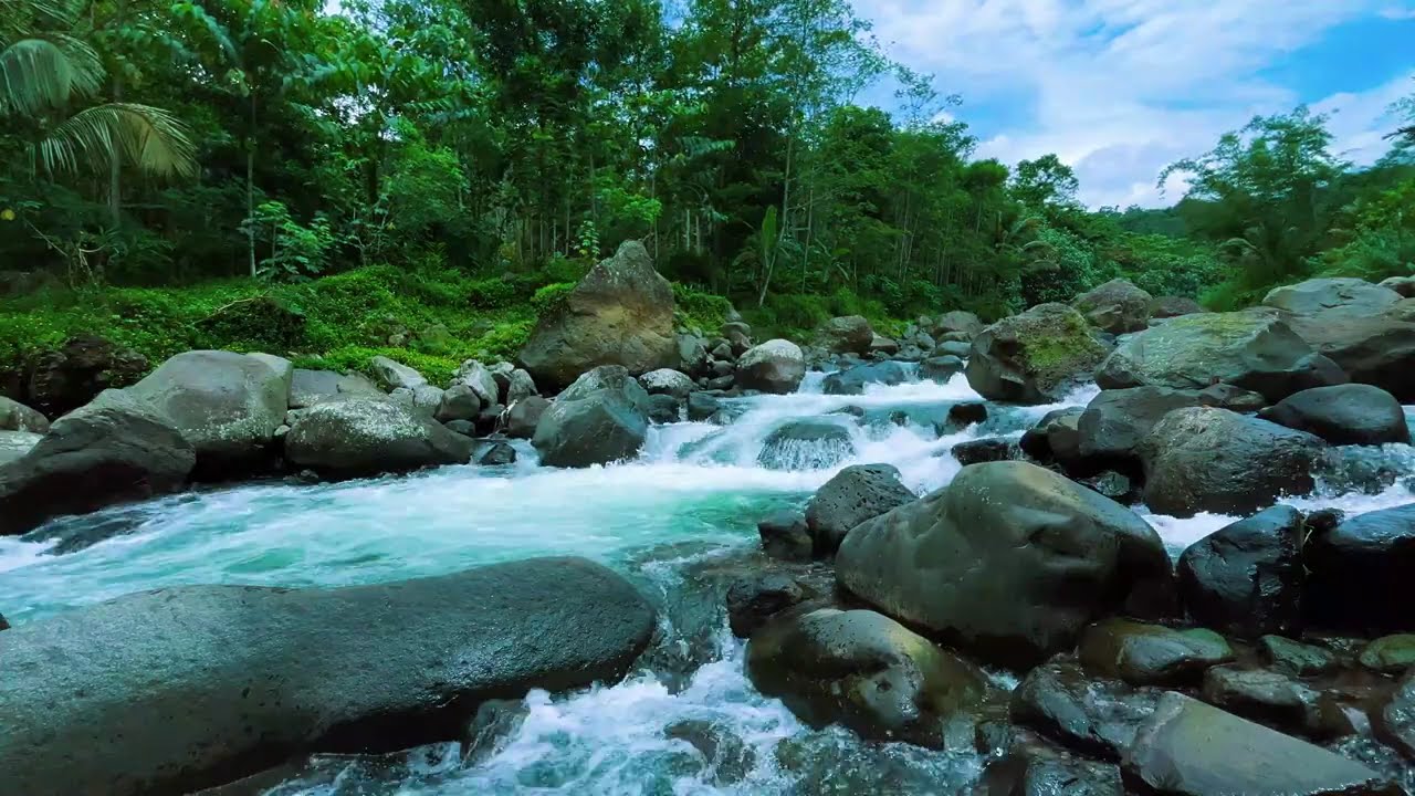 Mountain River Flowing Sounds 24/7 | Nature Sounds White Noise | Flowing Water for Deep Sleep#4