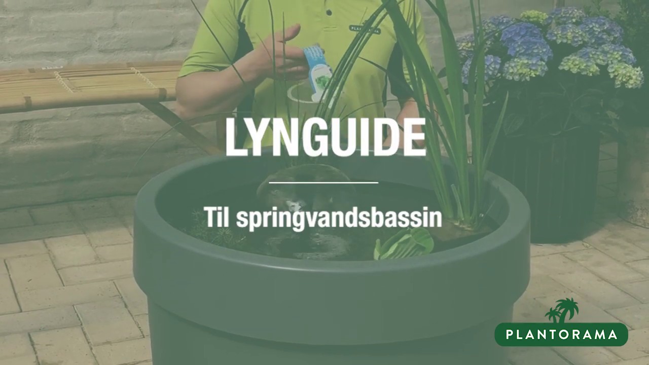 Guide til springvandsbassin - vand i haven på den nemme måde