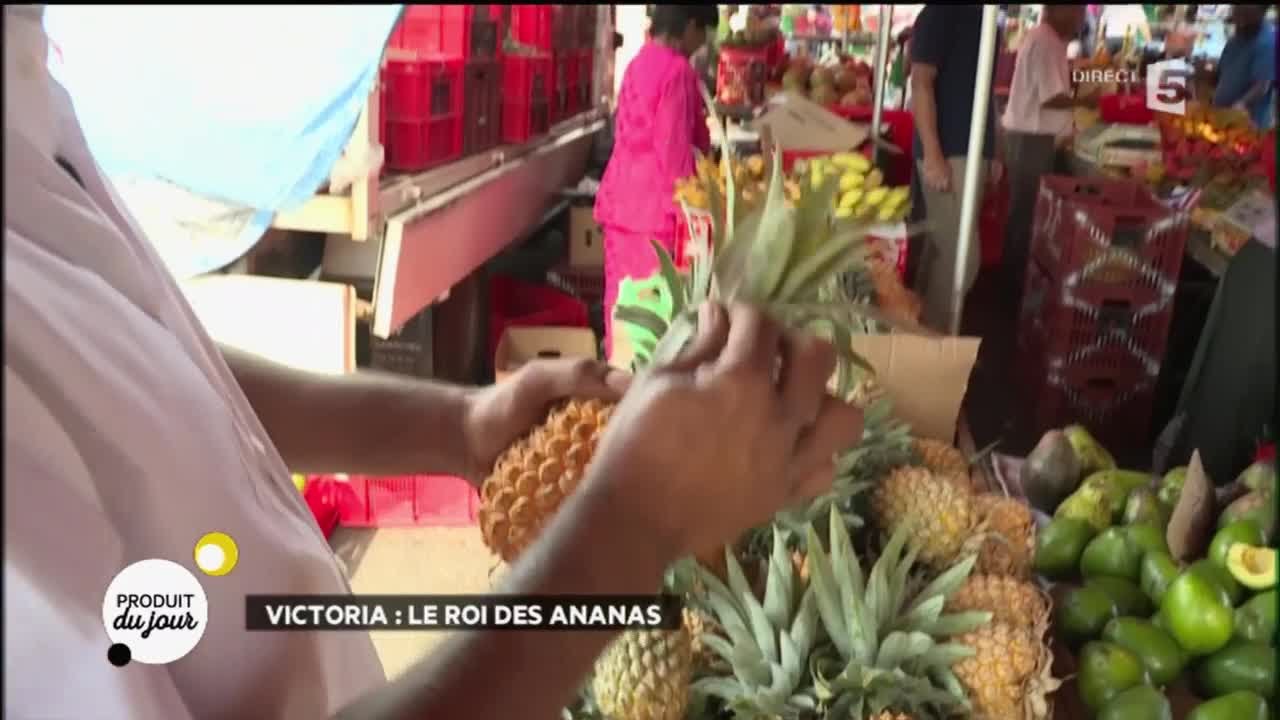 Victoria : le roi des ananas