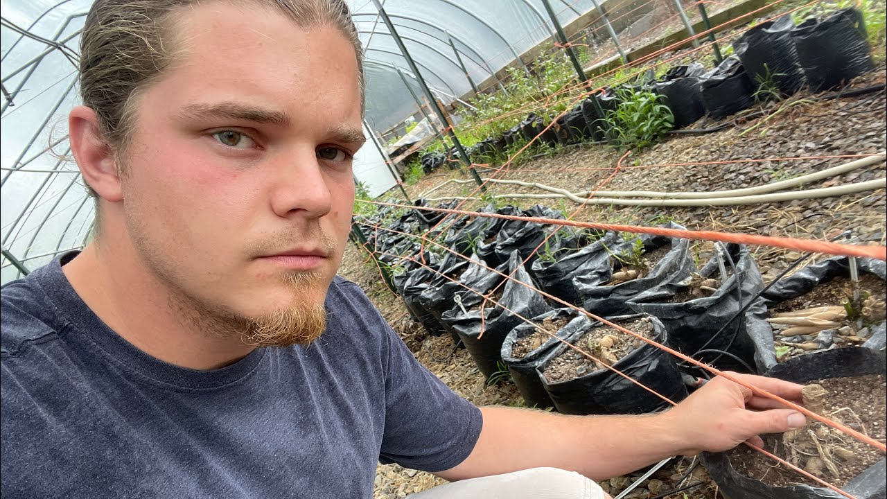 Temporary Devastation Doesn’t Lead To Permanent Defeat : The Flower Guy