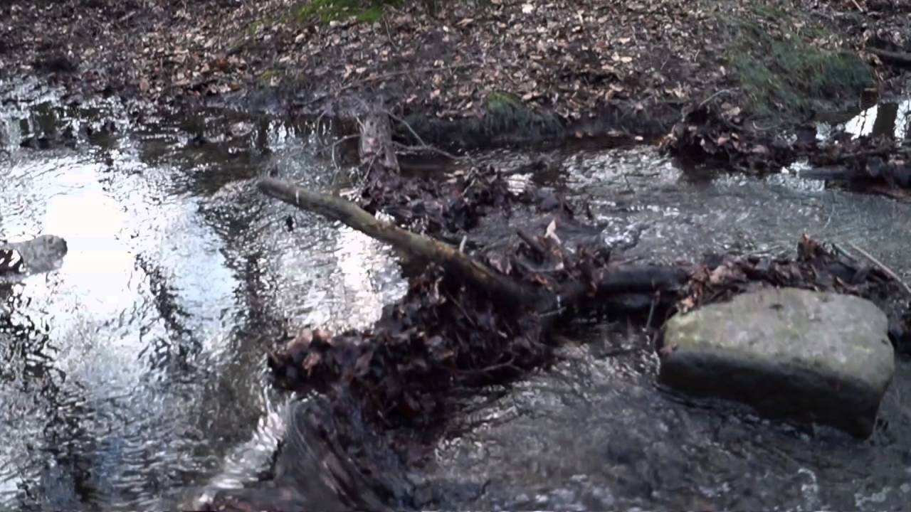 Sony Alpha 58 Videoqualität 50i vs 25p [FullHD|Deutsch]