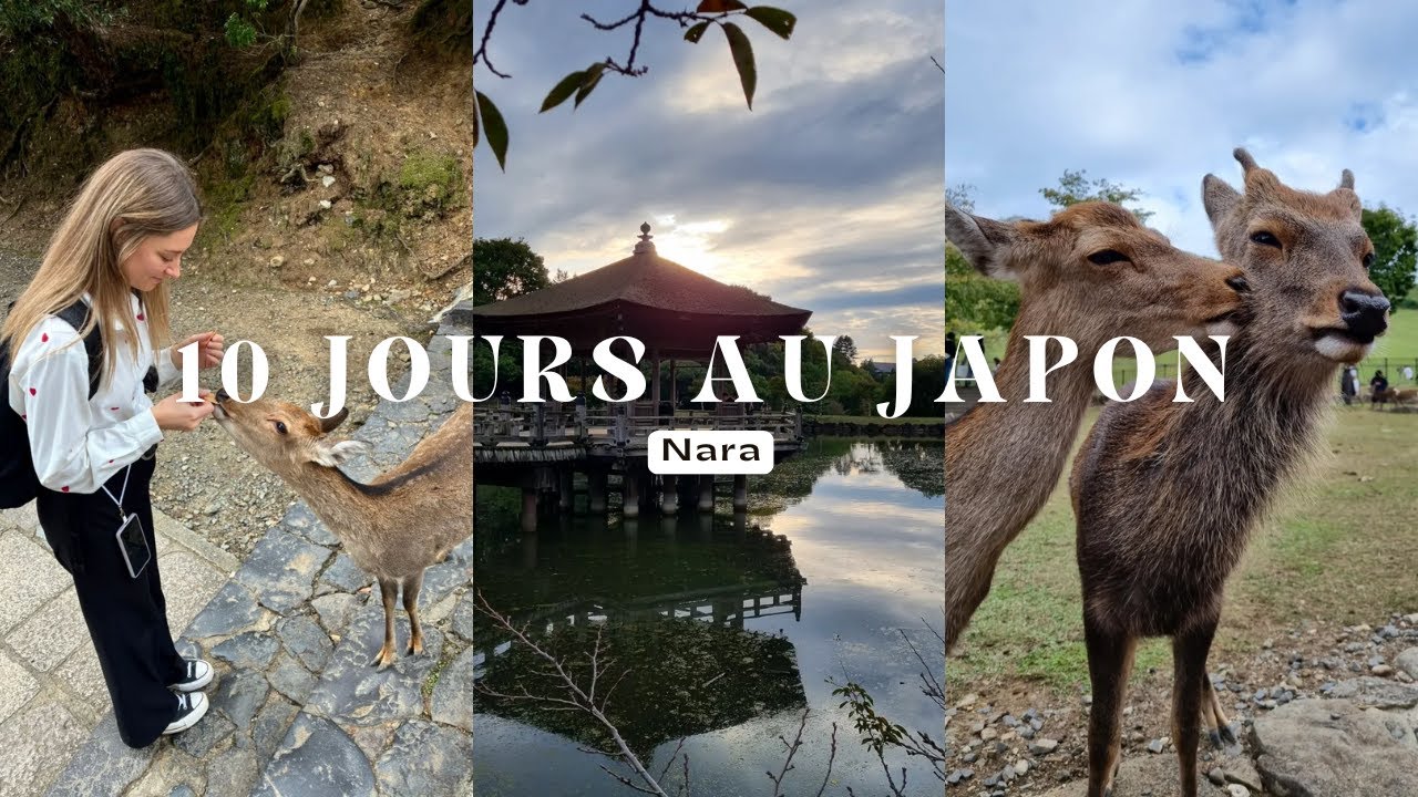 10 jours au Japon - Partie 3 (Nara)