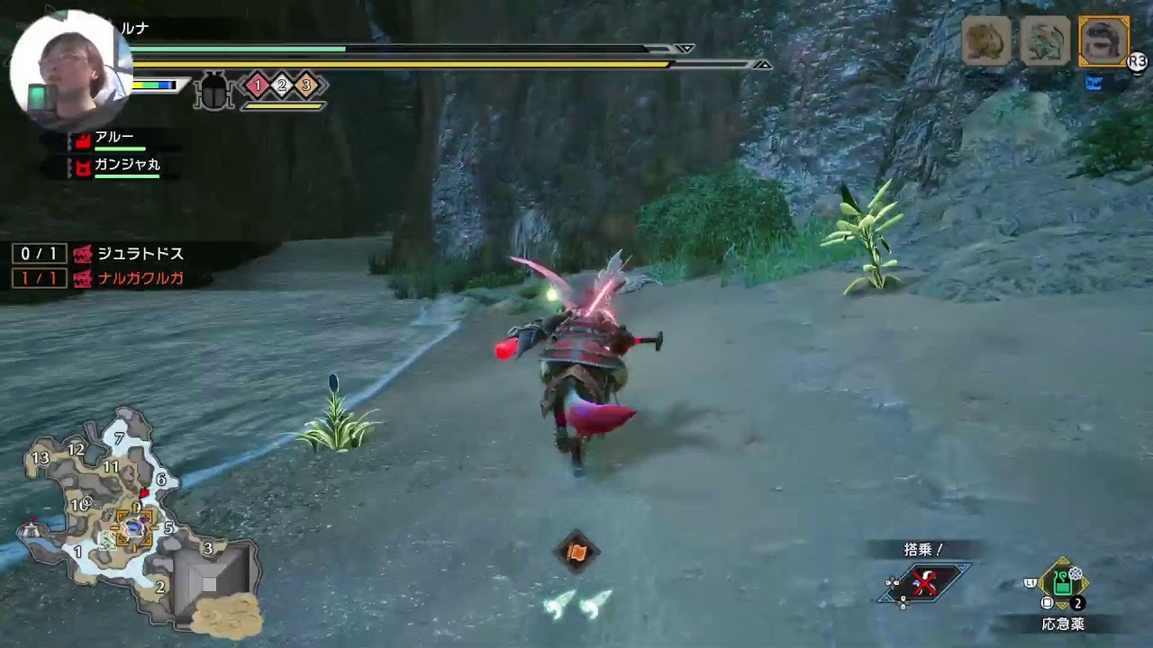 (操虫棍の高みを目指す)モンハンライズ #9