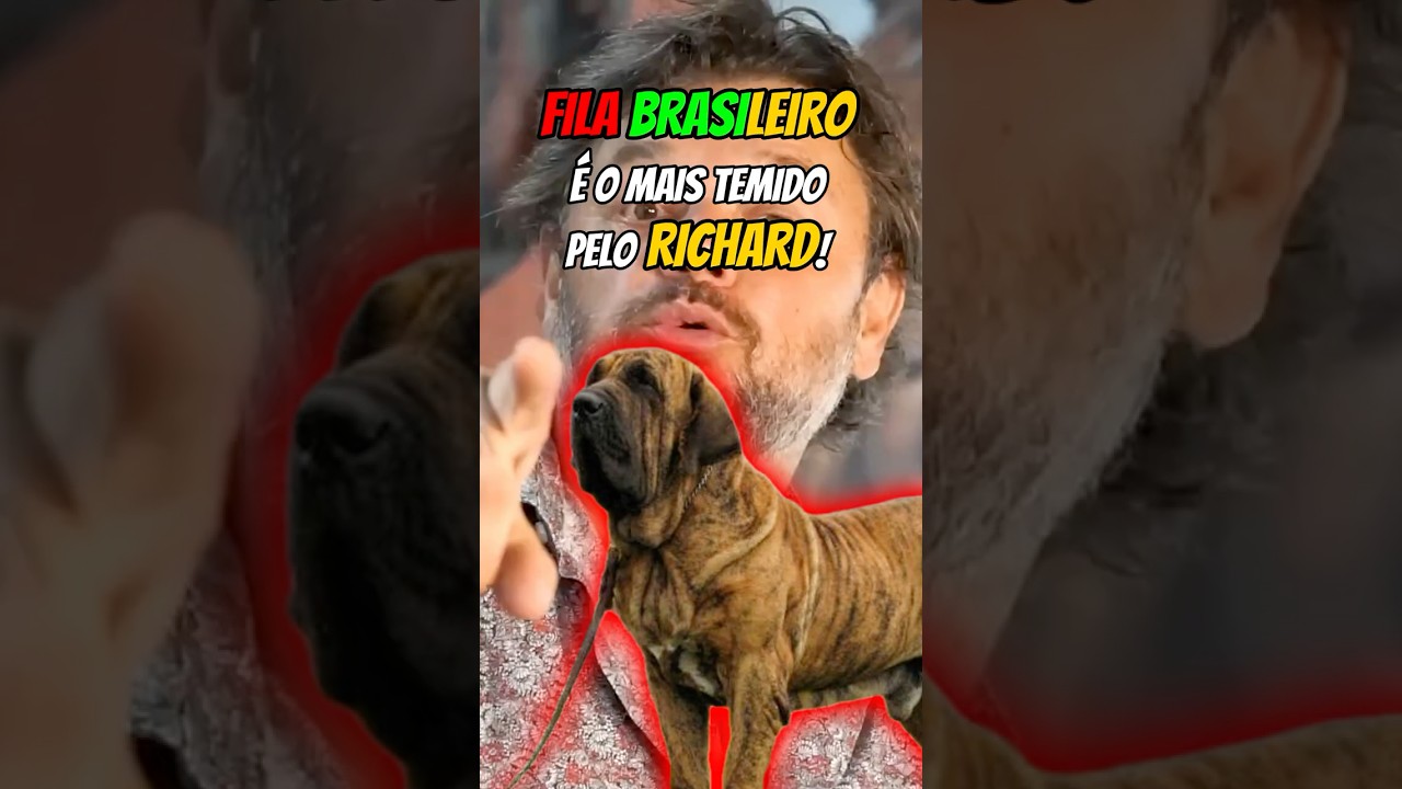 Fila Brasileiro &eacute; o Mais Temido pelo Richard!  #richardrasmussen #curiosidades #biologohenrique