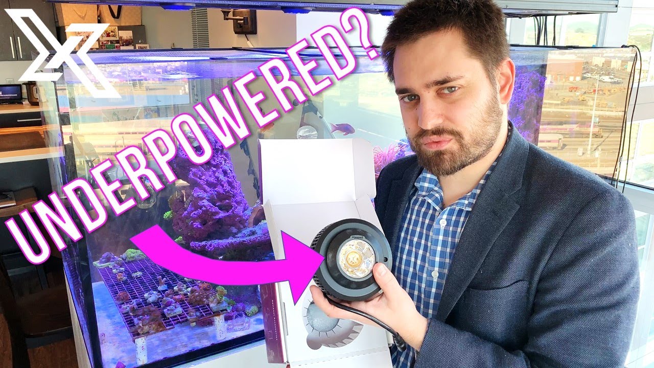 🌱 Kessil A360X Refugium Light Review