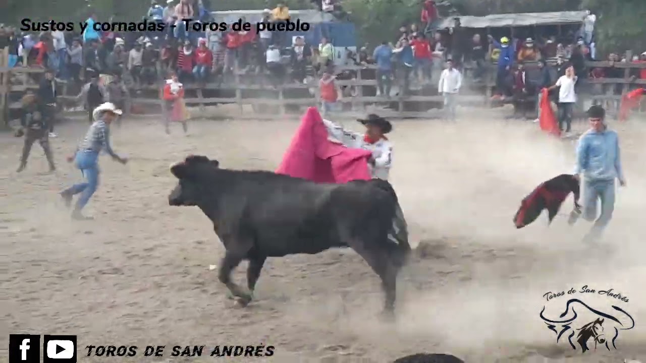 Sustos y cornadas - Toros de pueblo