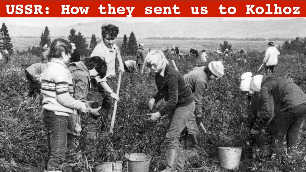 Life in USSR: How they sent us to Kolhoz