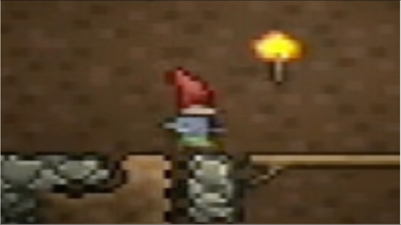 WHO IS THIS | Terraria [6]