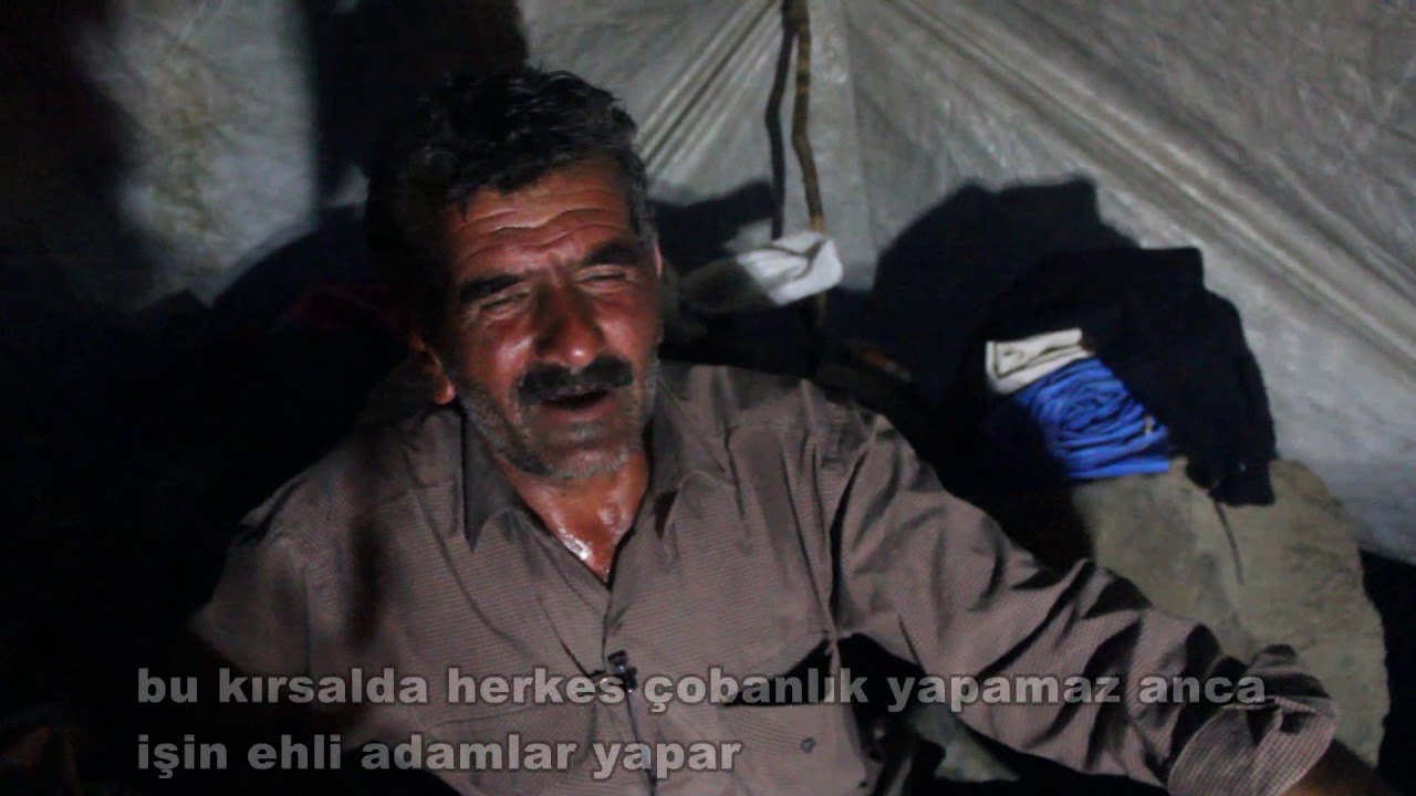 AĞRI DAĞI KIRSALINDA ÇOBANLIK