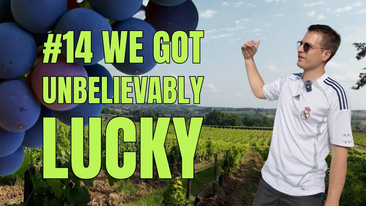 We got UNBELIEVABLY LUCKY!