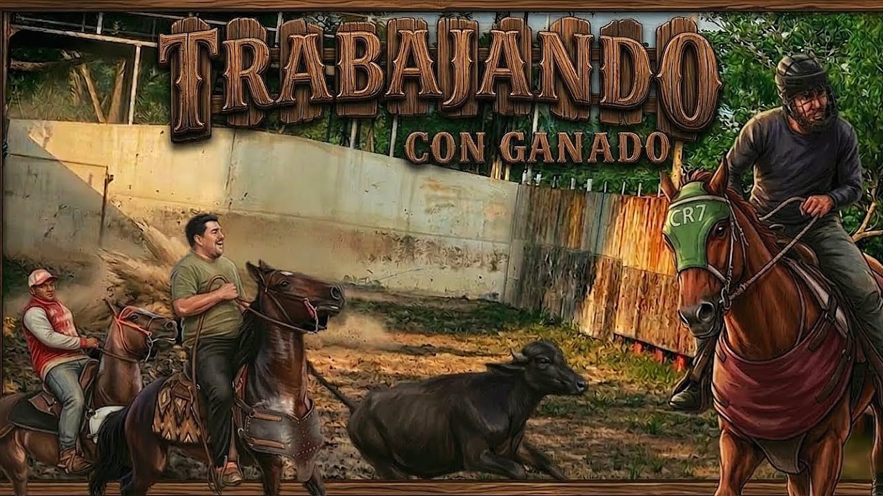 Entrenamiento de un caballo de coleo (parte 2) 