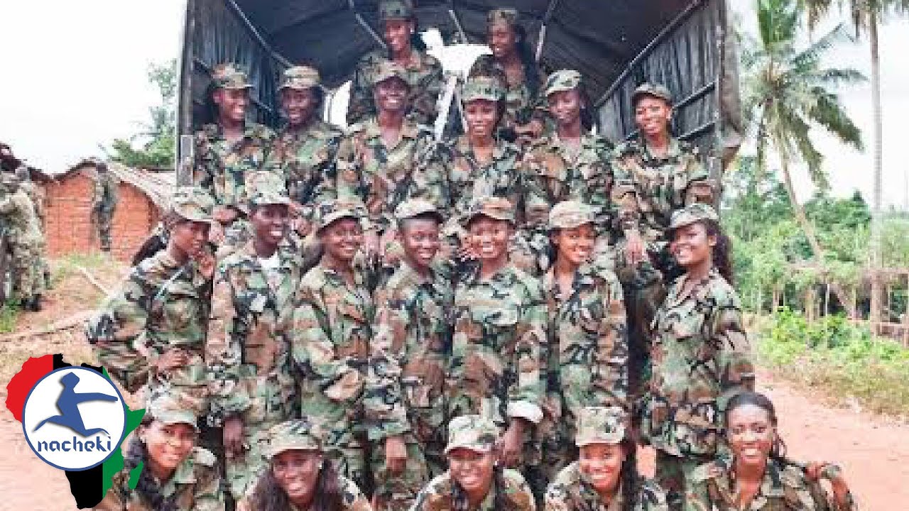 Top 10 Largest Militaries in Africa