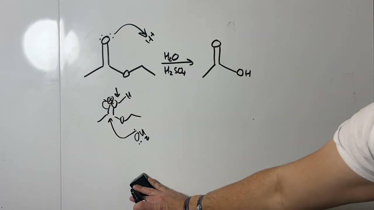 Acid Catalyzed Hydrolysis of an Ester 