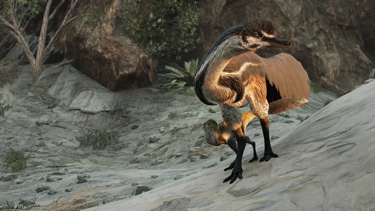 Nat Hist Ecology - Riparia Winter season