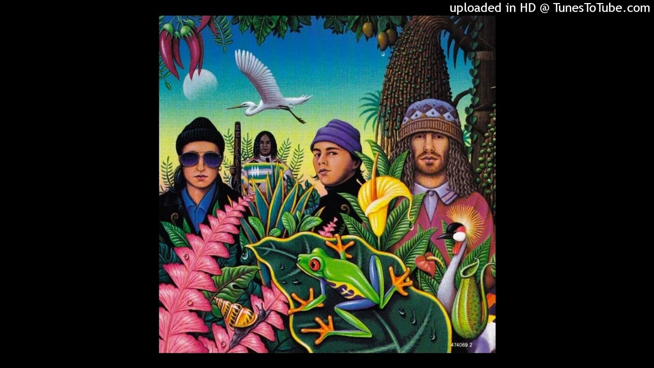 Jamiroquai - Blow your Mind (instrumental)