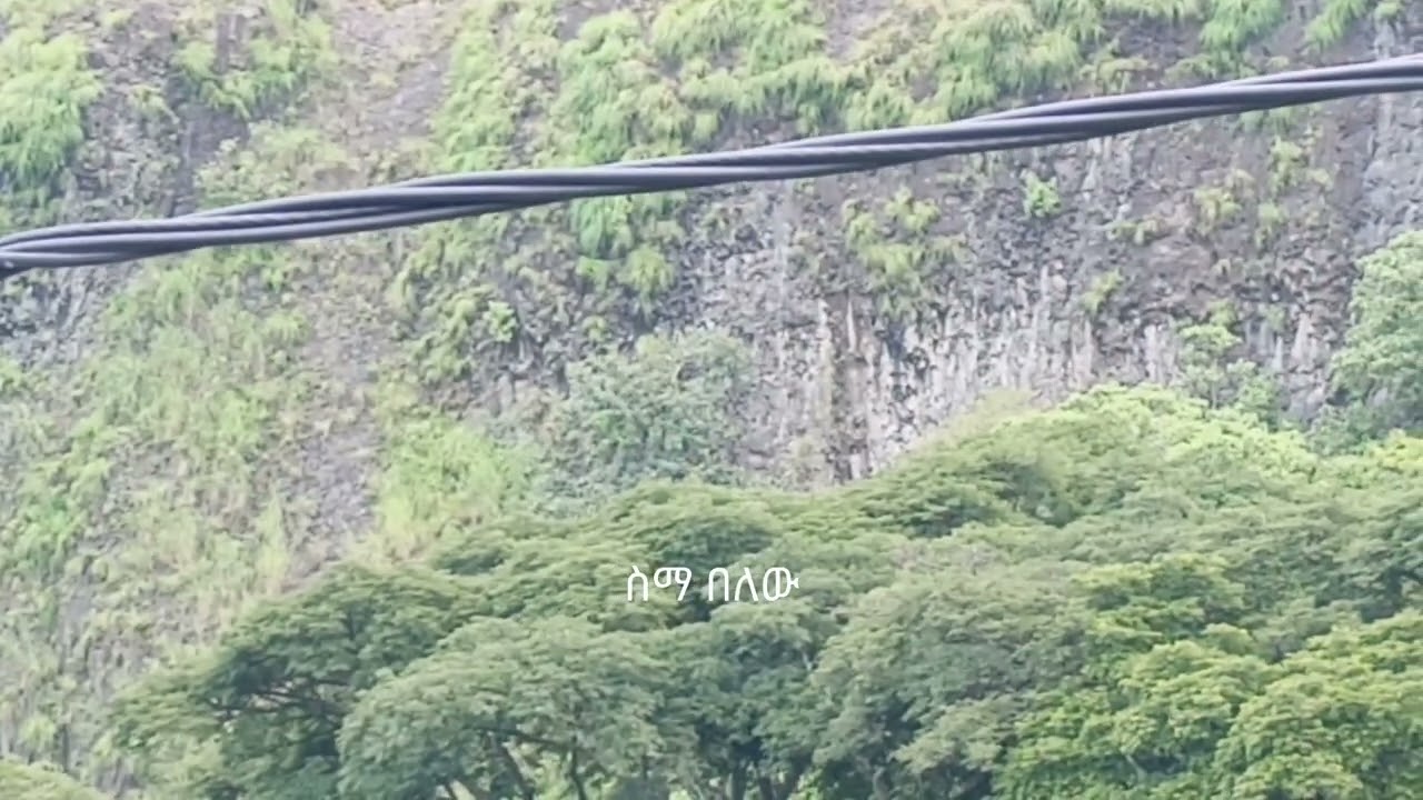 ጣቢት